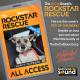KCSN RockstarRescue PotW 031126 CreateOutlines IG SQUARE 1080x1080