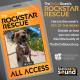 KCSN RockstarRescue PotW 051326 CreateOutlines IG SQUARE 1080x1080