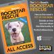 KCSN RockstarRescue PotW 052026 CreateOutlines IG SQUARE 1080x1080