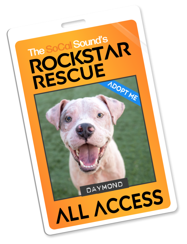 KCSN RockstarRescue PotW 052026 Pass