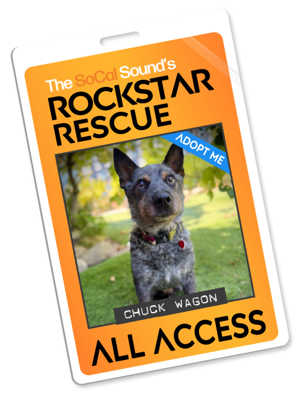 KCSN RockstarRescue PotW 090926 Pass
