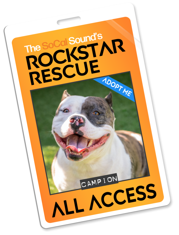 KCSN RockstarRescue PotW 111125 Pass