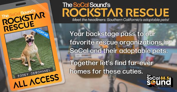 KCSN RockstarRescue PotW 021126 CreateOutlines FACEBOOK 1200x630