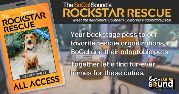 KCSN RockstarRescue PotW 032526 CreateOutlines FACEBOOK 1200x631