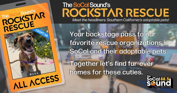 KCSN RockstarRescue PotW 051326 CreateOutlines FACEBOOK 1200x630