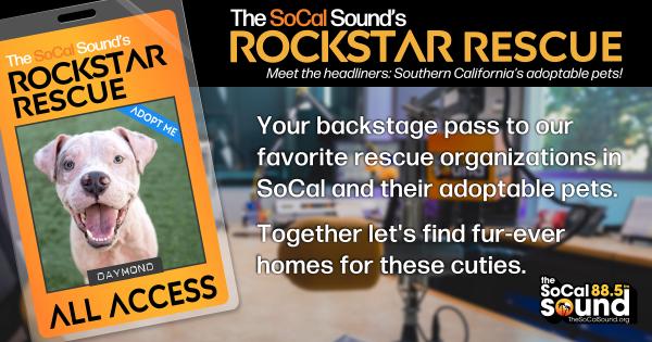 KCSN RockstarRescue PotW 052026 CreateOutlines FACEBOOK 1200x630
