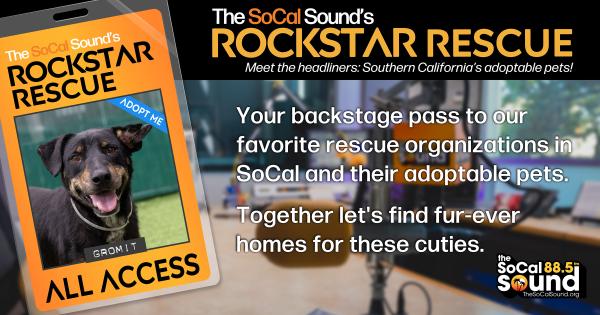 KCSN RockstarRescue PotW 052726 CreateOutlines FACEBOOK 1200x631