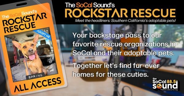 KCSN RockstarRescue PotW 061026 CreateOutlines FACEBOOK 1200x630