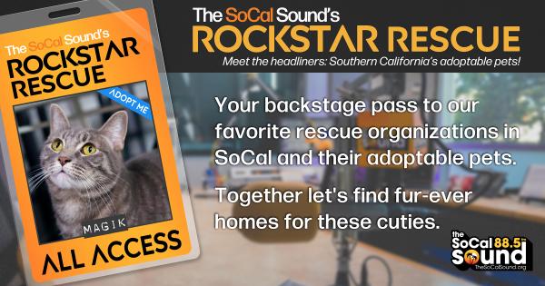 KCSN RockstarRescue PotW 102025 CreateOutlines FACEBOOK 1200x630