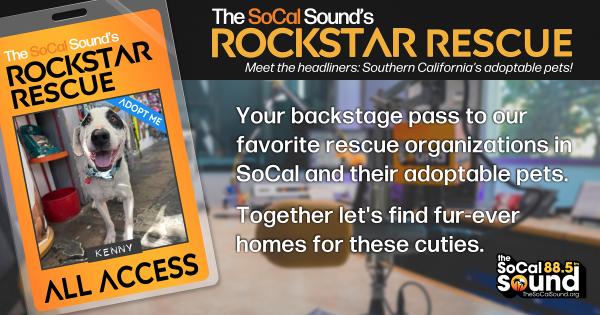 KCSN RockstarRescue PotW 121525 CreateOutlines FACEBOOK 1200x630