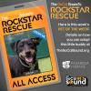 This 2-year old terrier mix is your next adventure buddy - GROMIT - our PET OF THE WEEK!