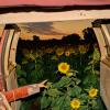 From Kansas City to Los Angeles - Kevin Morby takes us into "The Little Wide Open" - our 88-5 ALBUM DIVE!