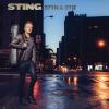 EXCLUSIVE: Interview W/ Sting